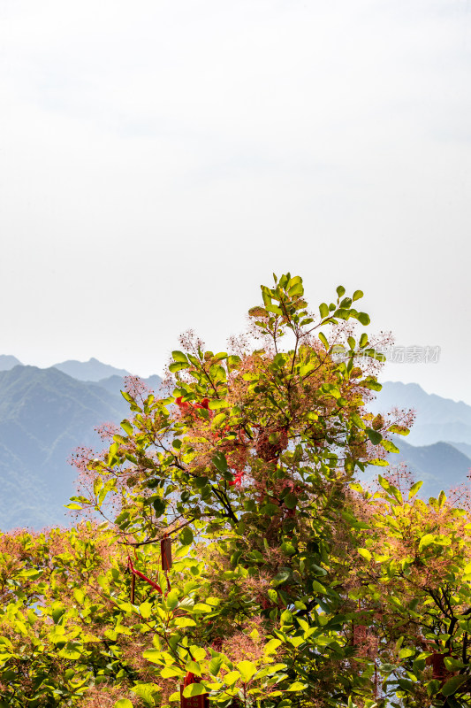 西安秦岭终南山南五台自然风光景点景观