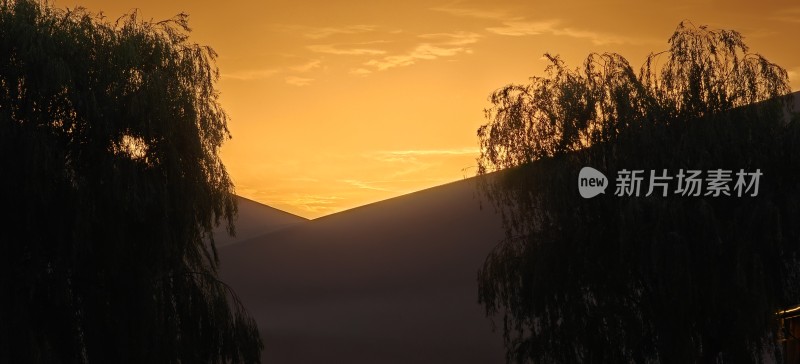 黄昏时分树木剪影的自然风景