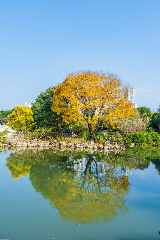 福州黎明湖公园景色