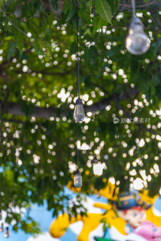 挂在树上的灯泡的低角度视图