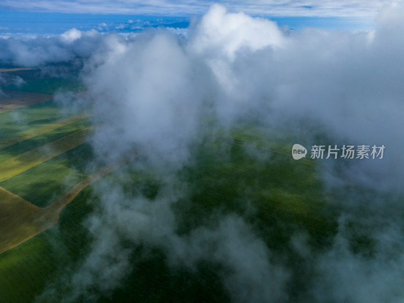 云海蓝天白云风景航拍图