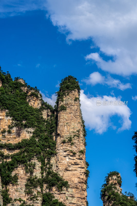 中国湖南张家界景区奇特山峰与茂密森林