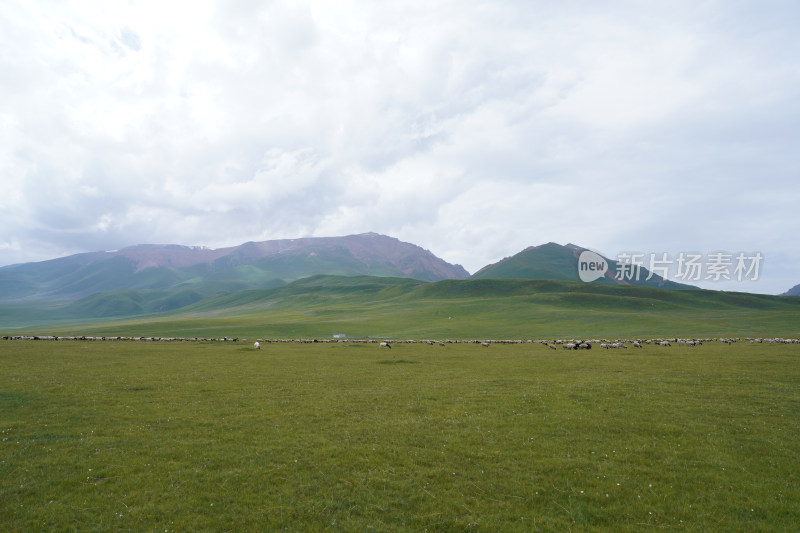新疆内蒙大草原山脉自然风光