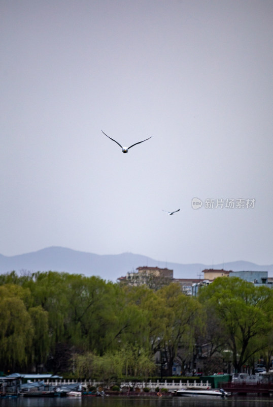 北京什刹海后海公园景点景观