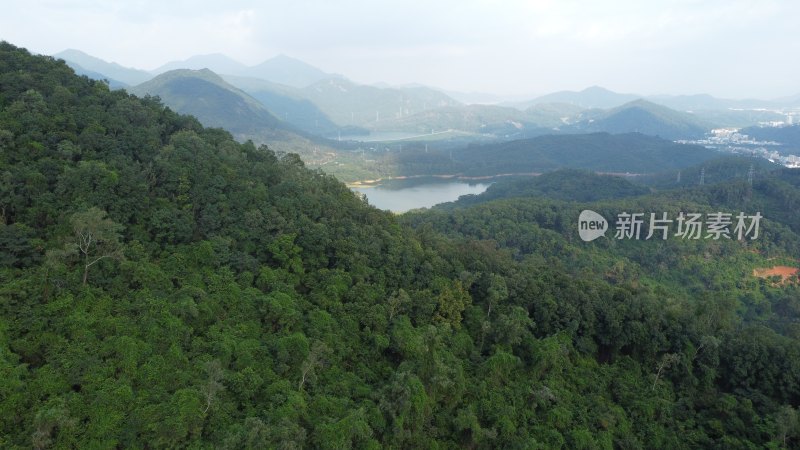 广东东莞：青山绿树