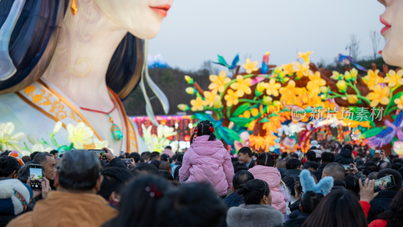 第三十一届自贡国际恐龙灯会