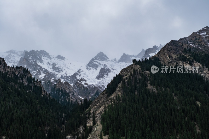 新疆伊犁夏塔雪山森林绝美风光