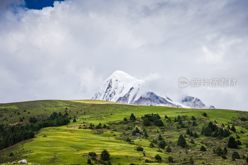 川西格聂草原自然风景