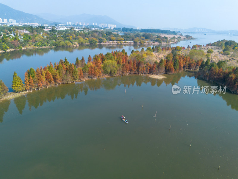 福州多彩树林沿水域分布的自然风景航拍