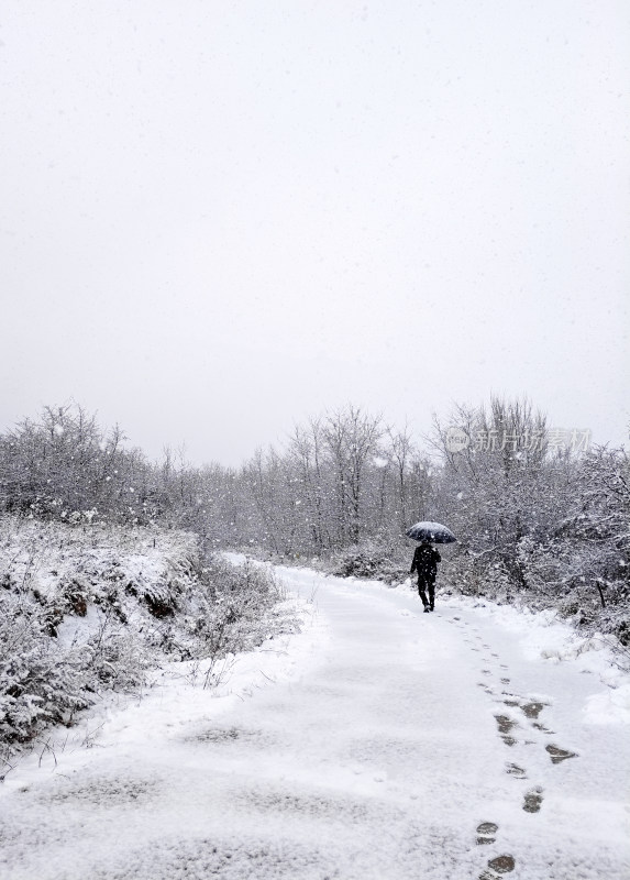 大雪纷飞