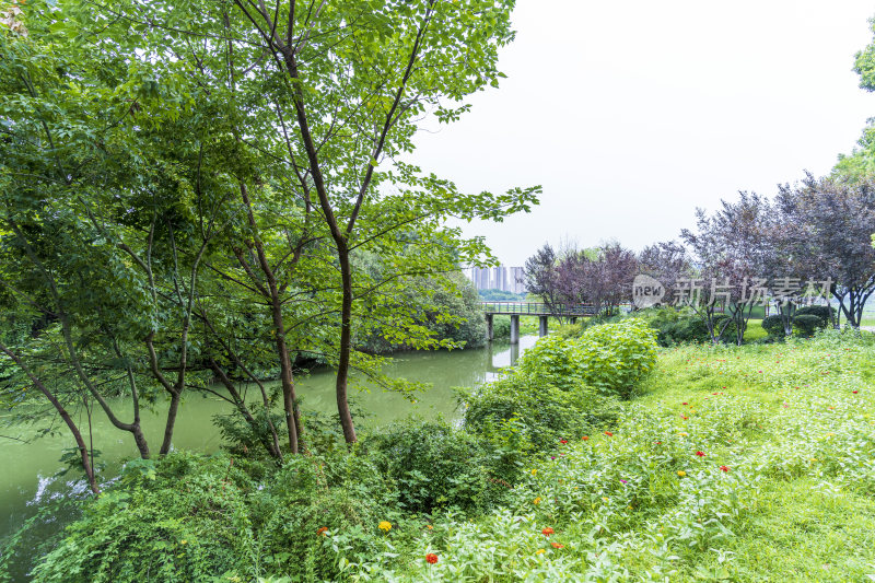 武汉汉阳月湖风景区风光