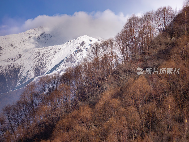 青海 祁连山 雪景