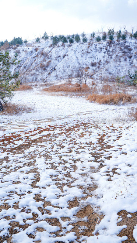 公园山谷小路雪景