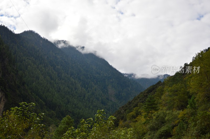 林芝鲁朗风景区风景