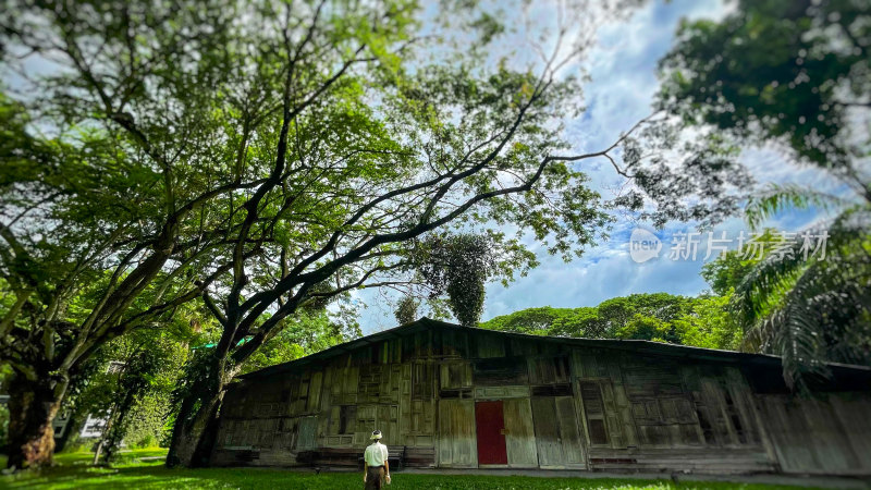 人在木屋前的绿地树林间