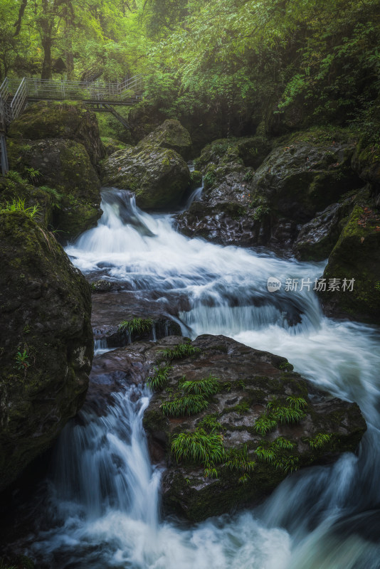 雅安龙苍沟叠翠溪森林溪流