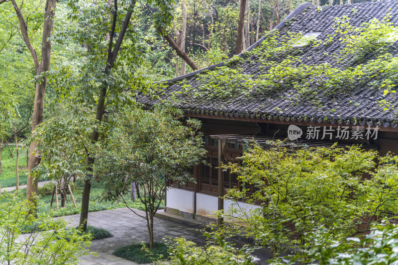 杭州三台山留馀山居风景