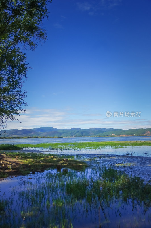 丽江拉市海湿地蓝天白云青山绿水自然风景