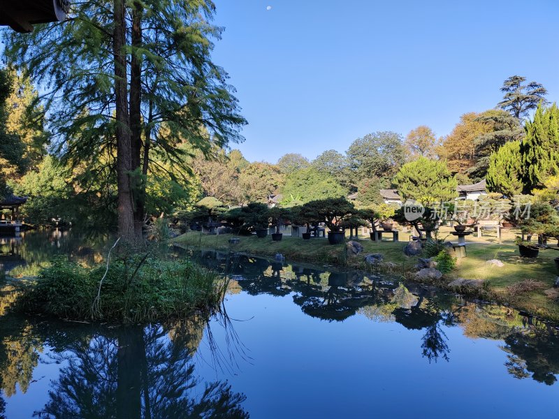 有水域和树木的园林风景