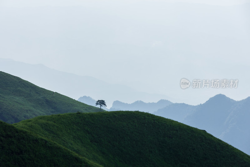 江西萍乡武功山高山草甸自然风光