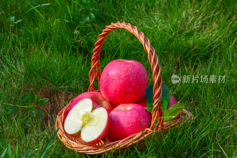 一篮子红富士苹果在绿草地上