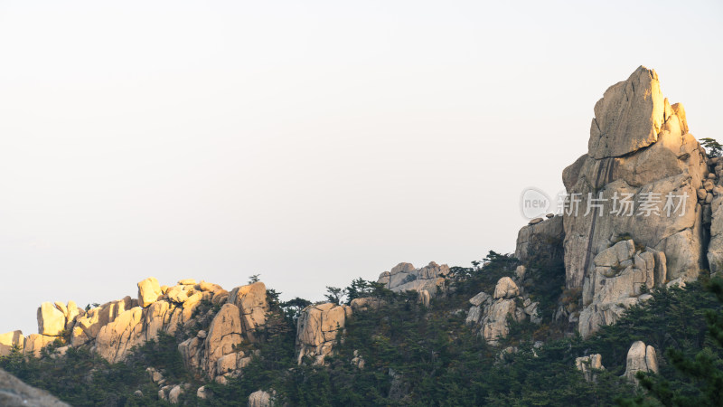 布满植被的岩石山景