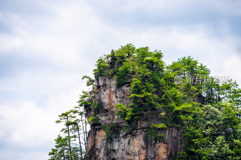 中国湖南张家界景区奇特山峰与茂密森林