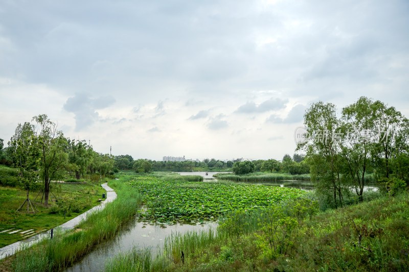 温榆河公园湖面船只植物