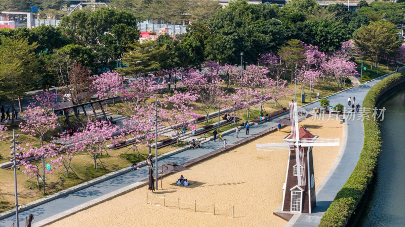 深圳市南山区后海中心河公园