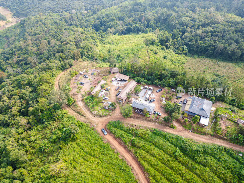 航拍视角下的丛林间越野车营地与植被景象