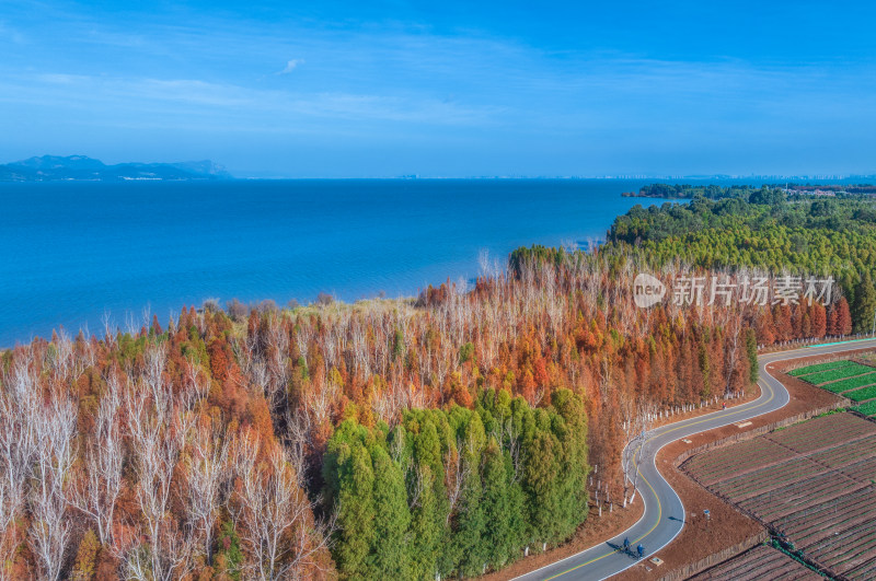 滇池湿地风光