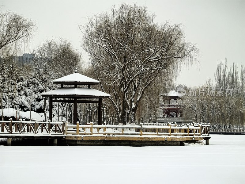 雪中的公园亭台景观