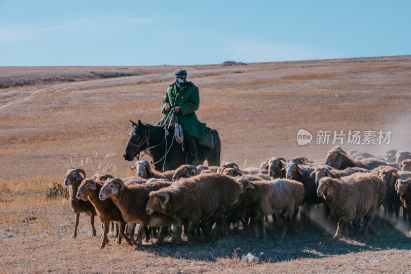 新疆北疆骑马放牧