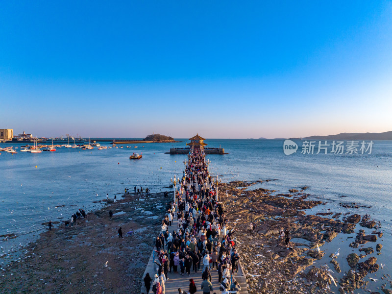 青岛海上栈桥人来人往的热闹景象