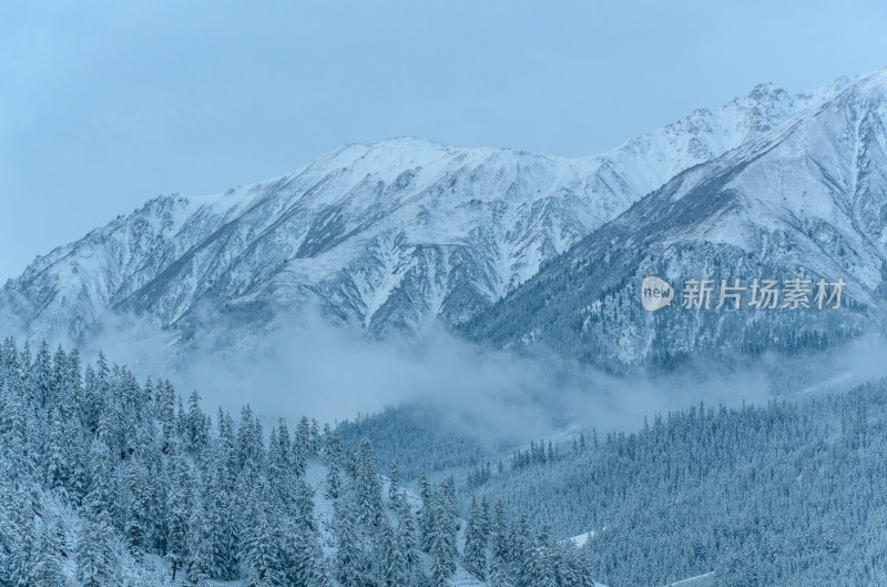 青海祁连卓尔山树林自然唯美雪景风光