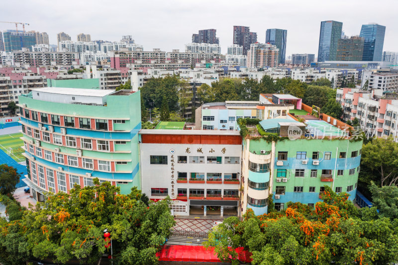 广东省深圳市龙岗区龙城小学