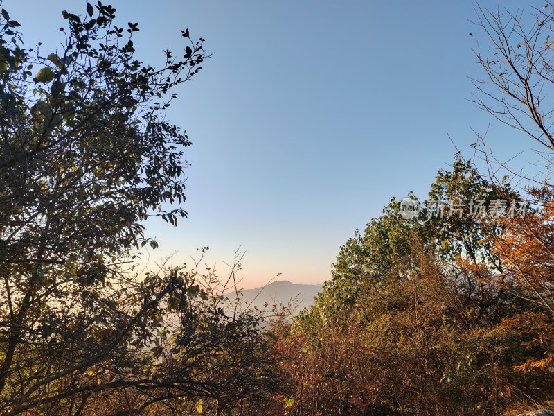 山林树木景观与远处山峦的自然景象