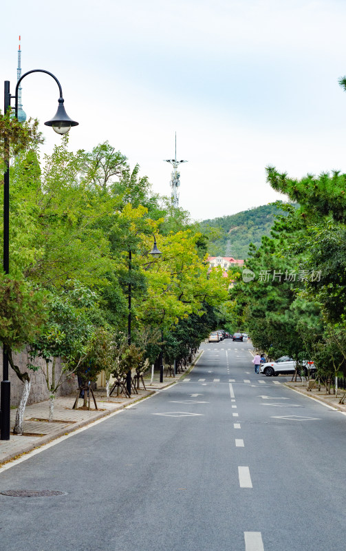 青岛八大关景区的道路