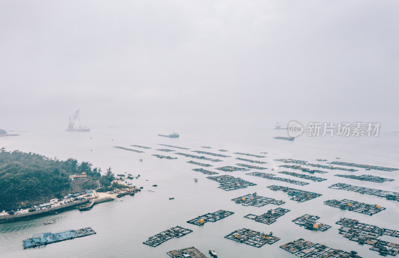 广东阳江蒲鱼洲湾海上水产养殖场