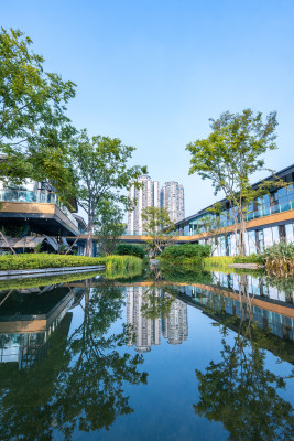 成都城市风景