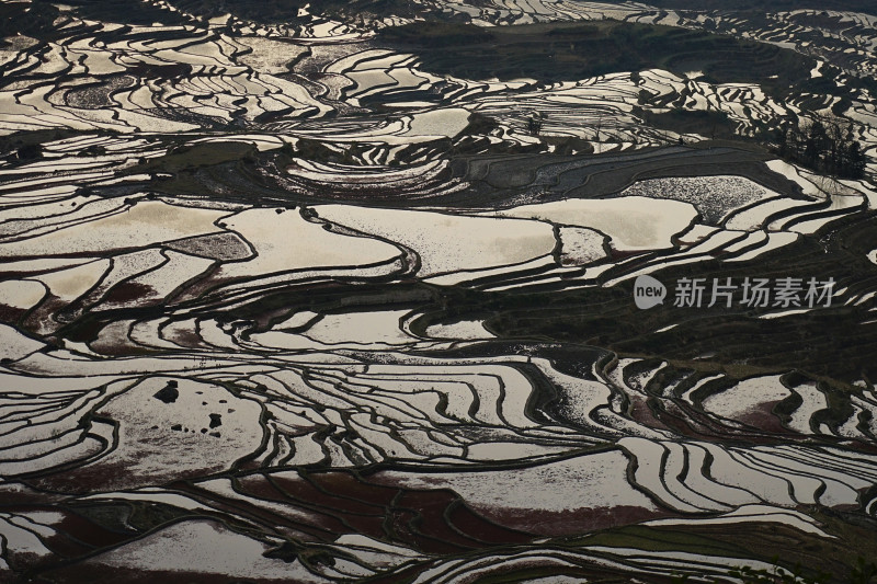 红河元阳梯田，大瓦遮梯田，日落时分