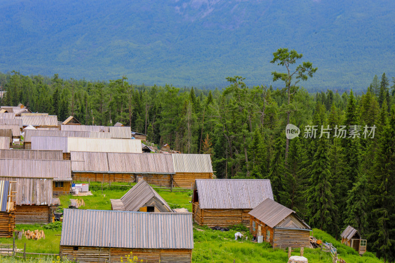 夏季阿勒泰喀纳斯景区