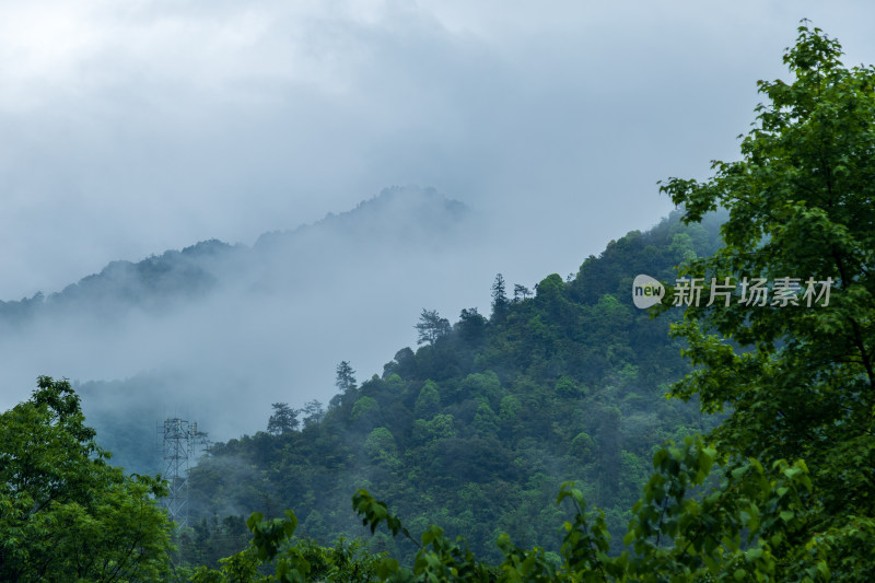 山间云雾缭绕的绿色山林