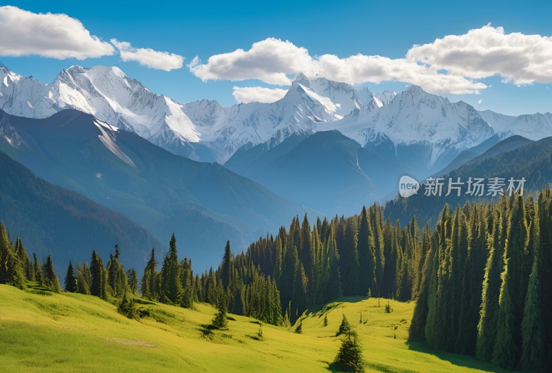 雪山草原森林风景