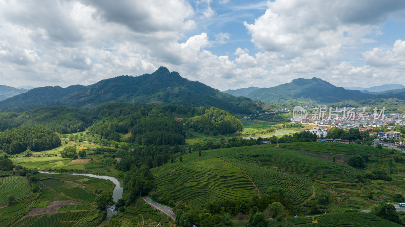 航拍武夷山绿色农田与茶园