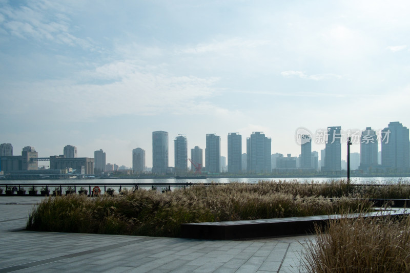 城市江边的高楼建筑与绿植景观