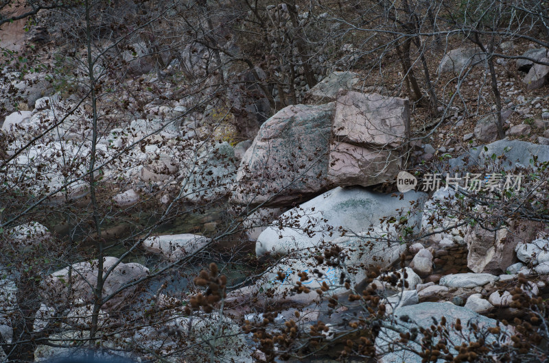 崂山北九水，冬季荒凉的深林