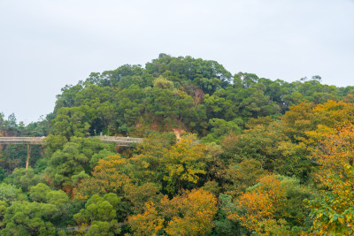 福州福道秋日山林