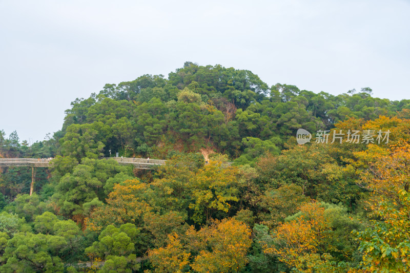 福州福道秋日山林