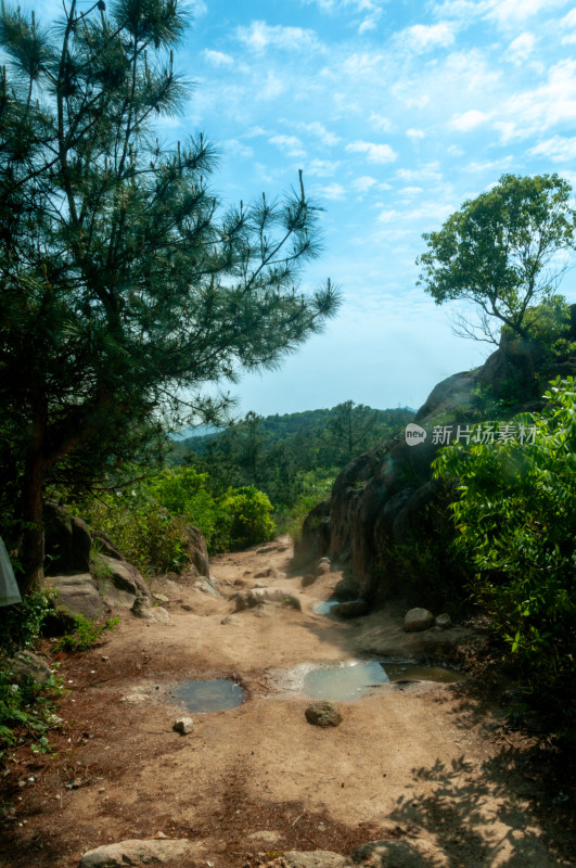 山中的自然风景